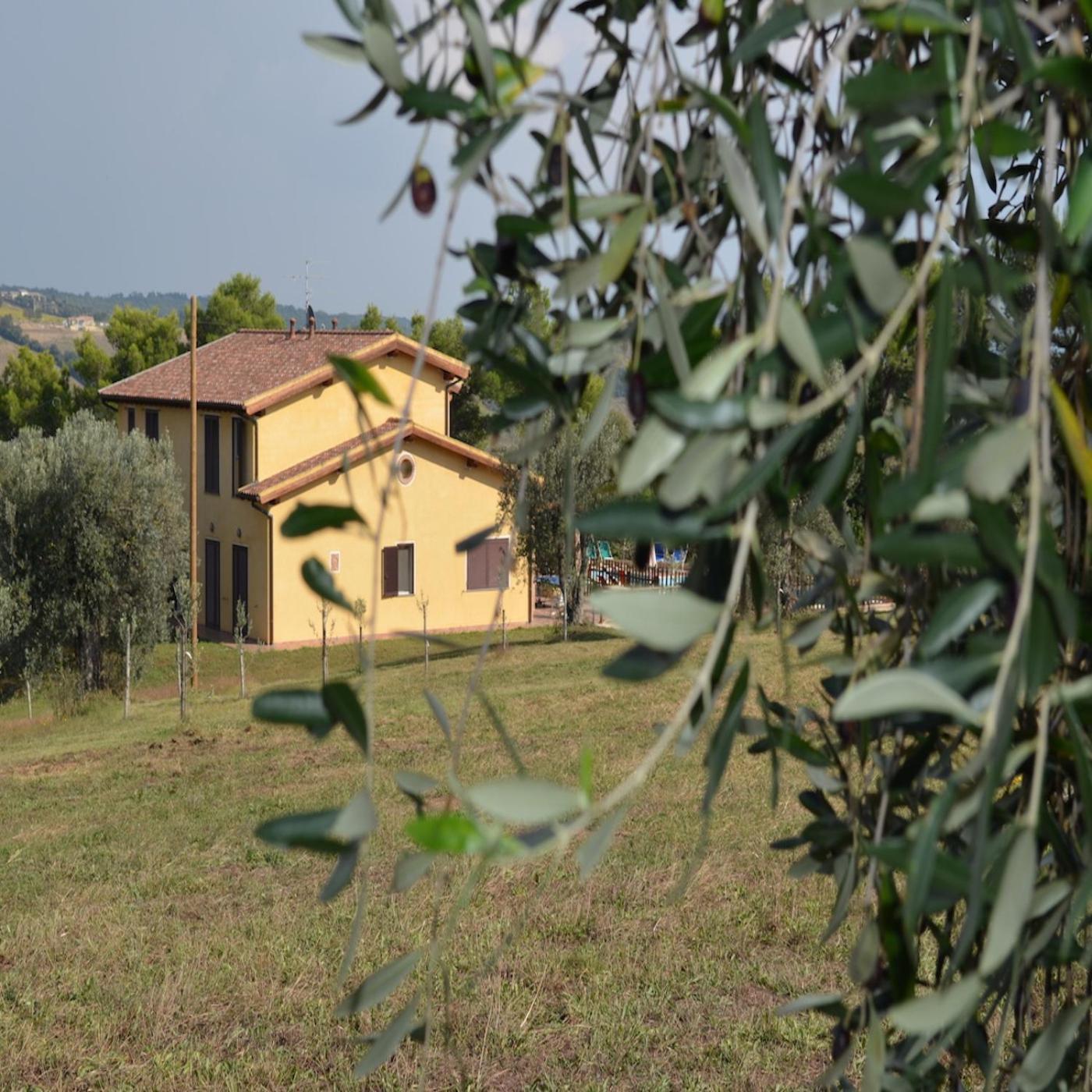 Villa Agriturismo Fontelisa Montiano  Exterior foto