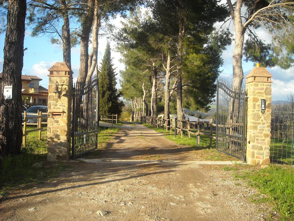 Villa Agriturismo Fontelisa Montiano  Exterior foto